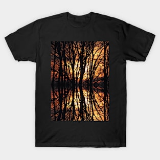 Sunset Through Trees T-Shirt